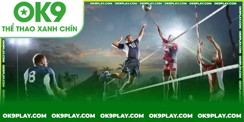Giới thiệu về hình thức cá cược bóng chuyền tại OK9COM Giới thiệu về hình thức cá cược bóng chuyền tại OK9COM